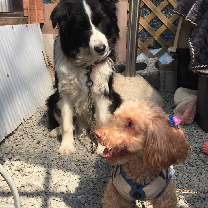 Bd54b1e7 be98 49be 88e4 e00b606e2b32