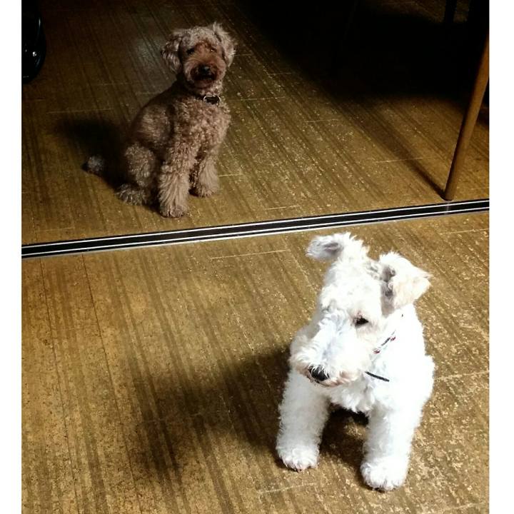 Bd551afb 05ee 4b95 bcc0 b4d900b87fc0