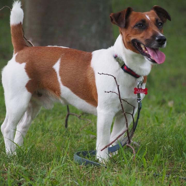 Bd55c18c 1f16 498d 80e1 635afb917cfd