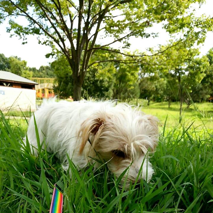 Bd564957 f8b5 4fc2 9ba7 bc9c568c95d1