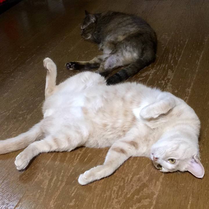 Bd57502a 3da6 4021 a209 83dcc7753b05