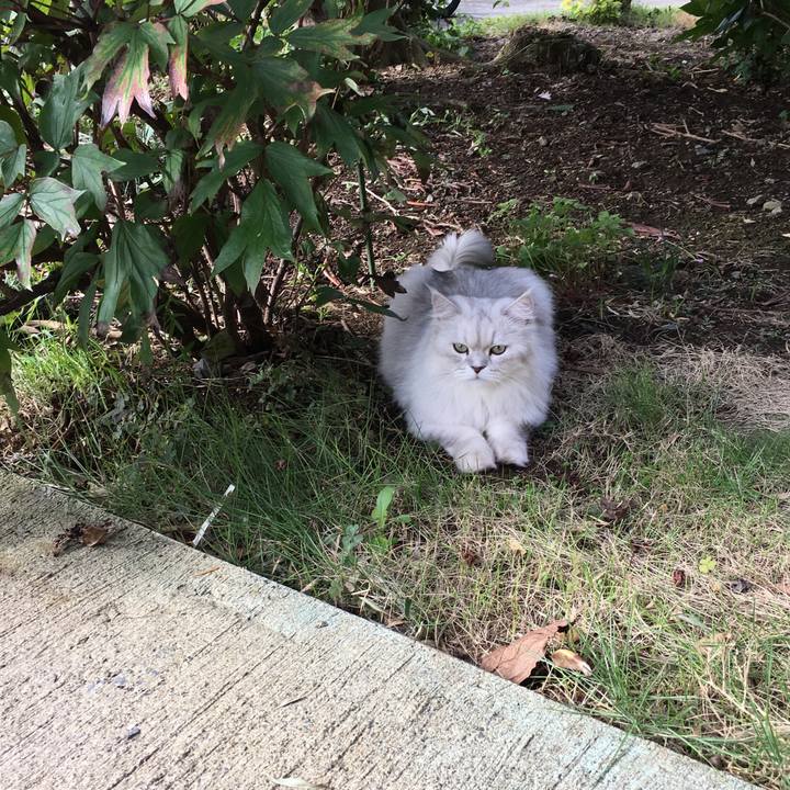 Bd58024f 42af 4540 9d9a 6d0c0858688d