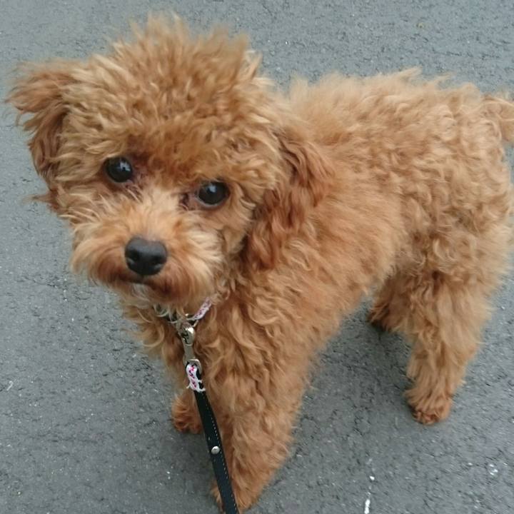 Bd583bc3 e3db 4311 90e2 29ebc4c993a0