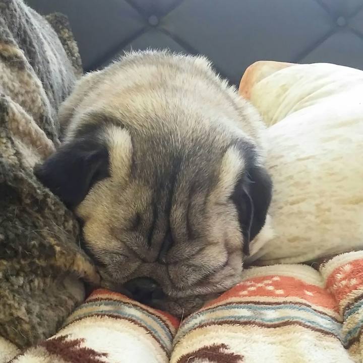 Bd583c90 b98a 4663 8da9 d972eec97e81