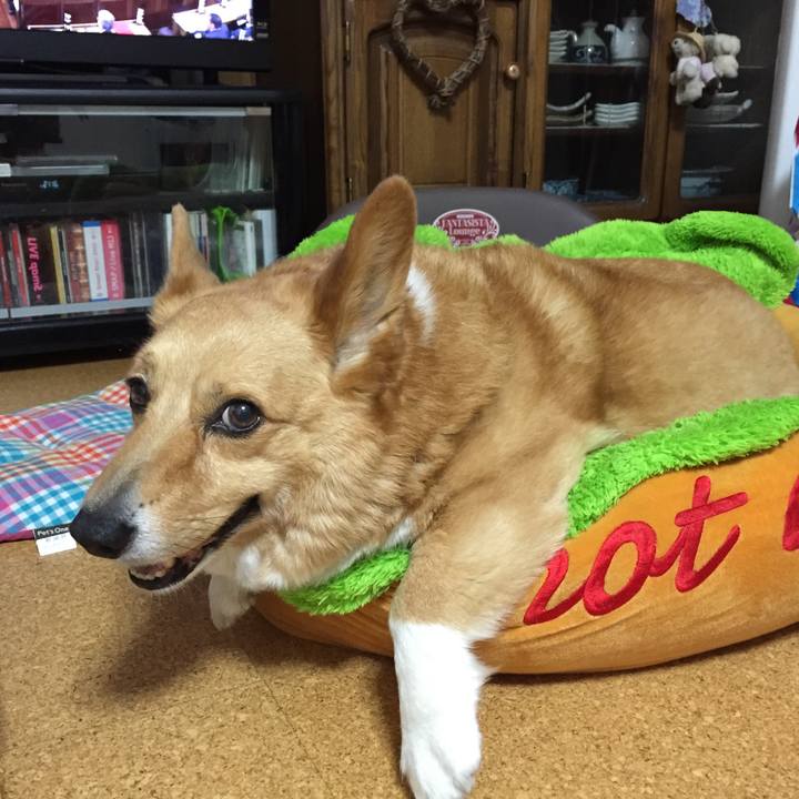 Bd58cc13 c44e 4a45 bc3f 56e285905b3d