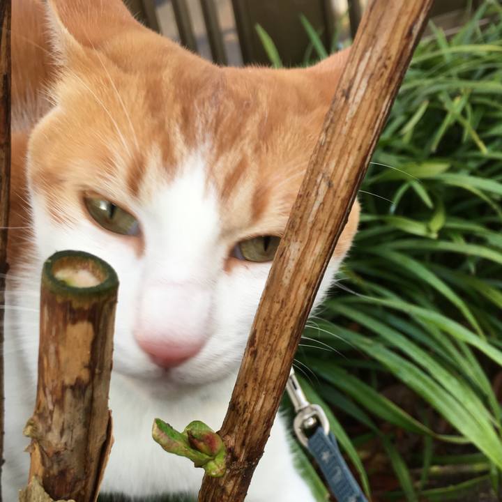 Bd58f93c cb31 4b4d 8907 d6a36141a84f