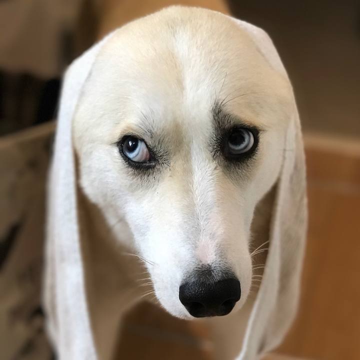 Bd59033d 78c1 4086 8354 a6375f85a577