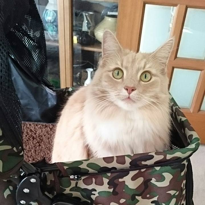 Bd590ab9 4899 46bd 921f a00b326f33aa