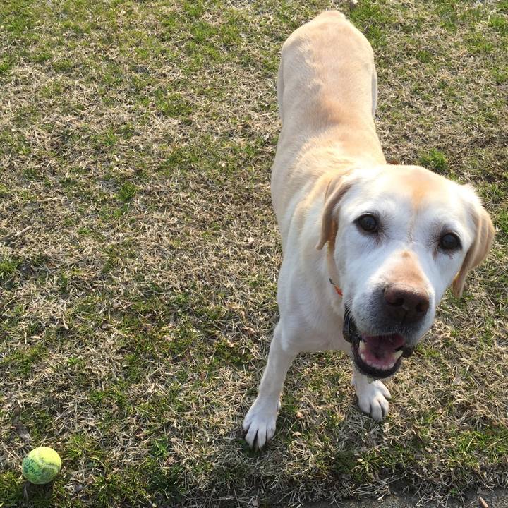 Bd597dba dbc5 44f5 adf5 5027fbc5e7db