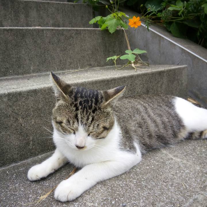 Bd59a19e 1b2d 479c b970 c50eb4c44464