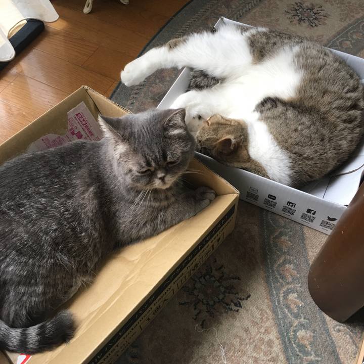 Bd5a8075 c345 4abe ad47 f00845bd32b8