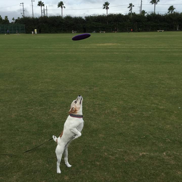 Bd5b4990 2704 4929 b566 8a3ded504a39