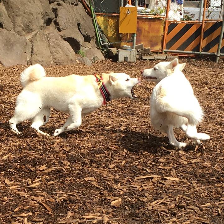 Bd5b5c93 1802 46a2 919b 5e767b279ac1