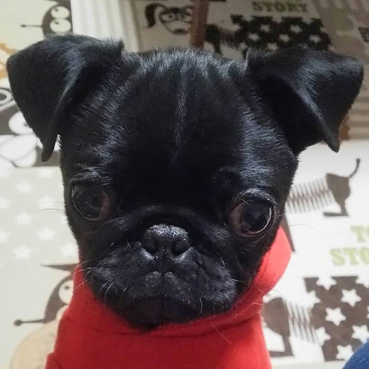 Bd5b632c ea78 4403 92f1 b148ea79239a