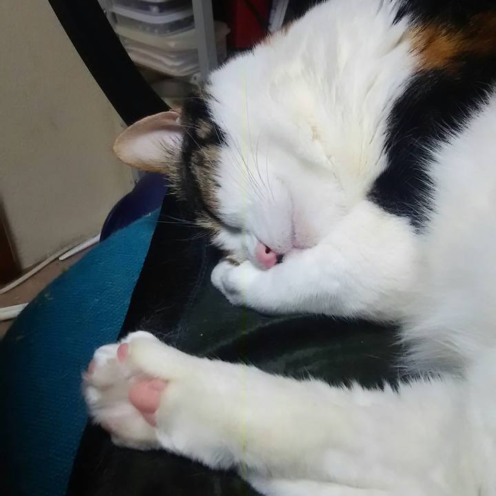 Bd5baa26 bd56 488f bb86 61736a717823