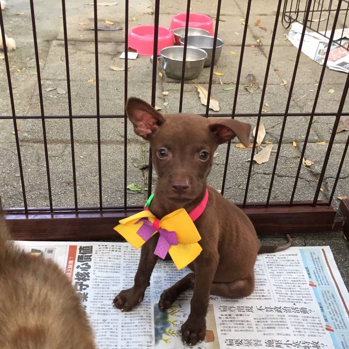 Bd5c2cc0 e812 4ee0 bfbd 413333a0e3d6