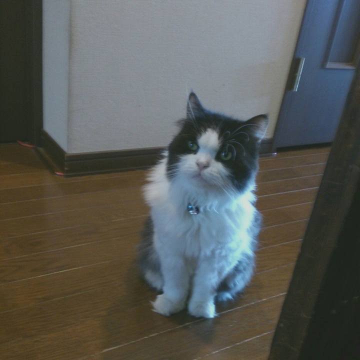 Bd5c6a72 b399 4c95 a4cf a60ab01e7589