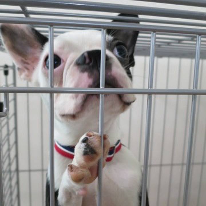 Bd5cf697 97a6 40a6 b2b4 bca0cbb16738