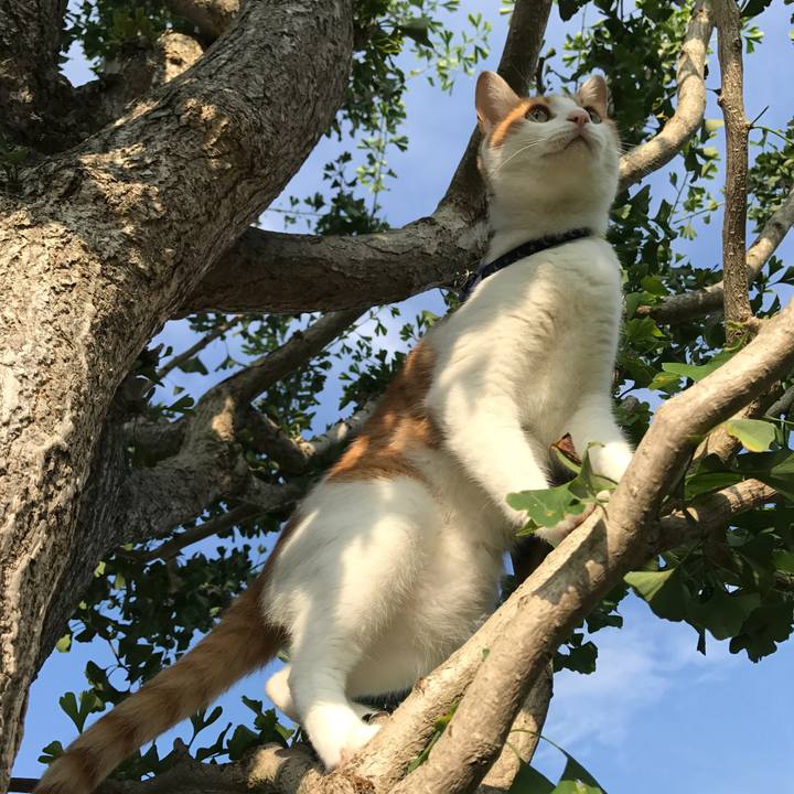 Bd5d32ee 92d7 483a b92e a177427eb27c