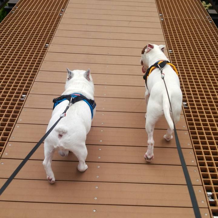 Bd5e2cbb abd0 42d1 b3b3 eb91215f56f2