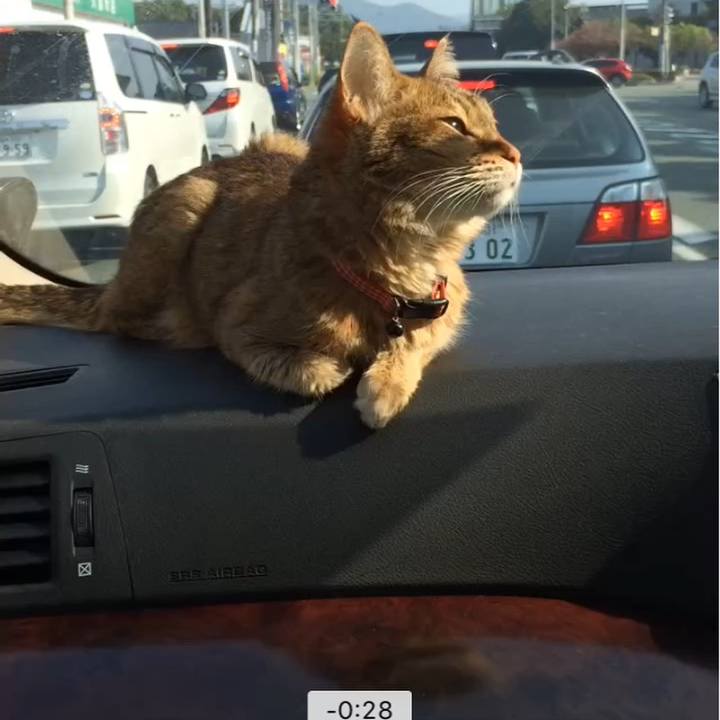 Bd5e3601 ca41 4178 97ea f772913f8181