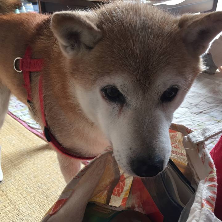 Bd5e5902 6036 4dd6 9d70 ee25759662a7