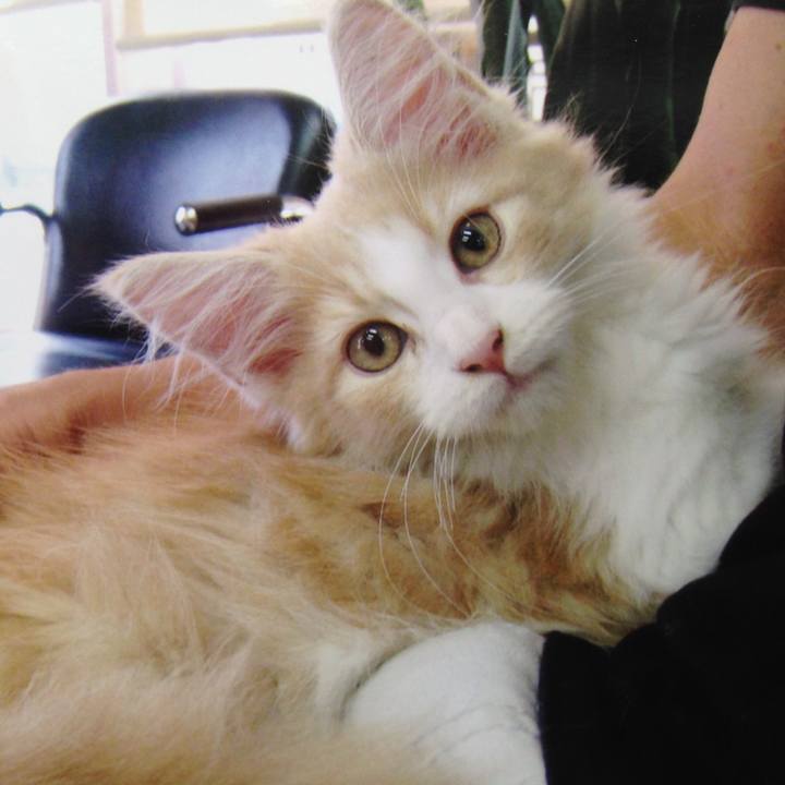 Bd5e5a05 5cd2 4ba4 9d80 481af6452019