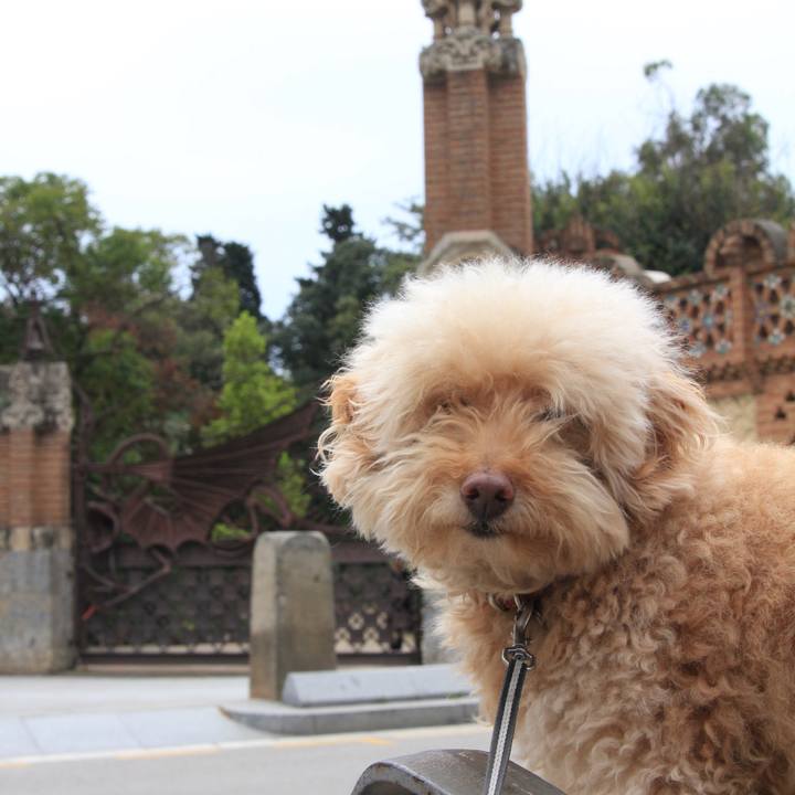 Bd5e7e60 2835 40fe a599 22a3d9c68337