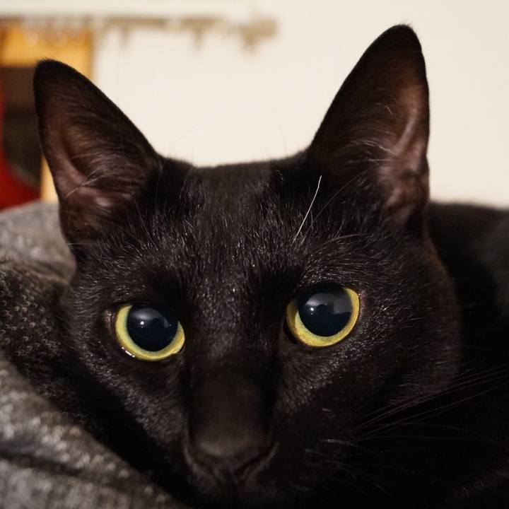 Bd5e8a43 4081 44ad 8c5c bc71602c27a5