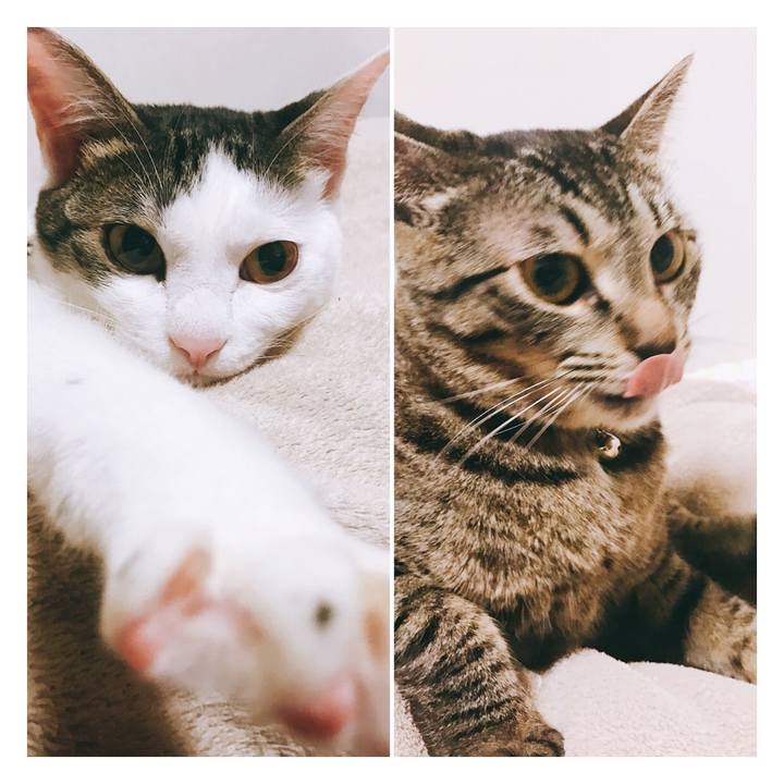 Bd5ee5d2 7326 4bee 90fa 5aadc21ec646