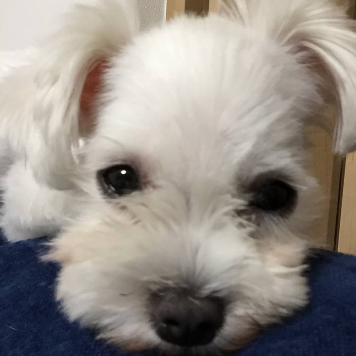 Bd5f164f ba51 4dd5 bf20 ba3d41230d97