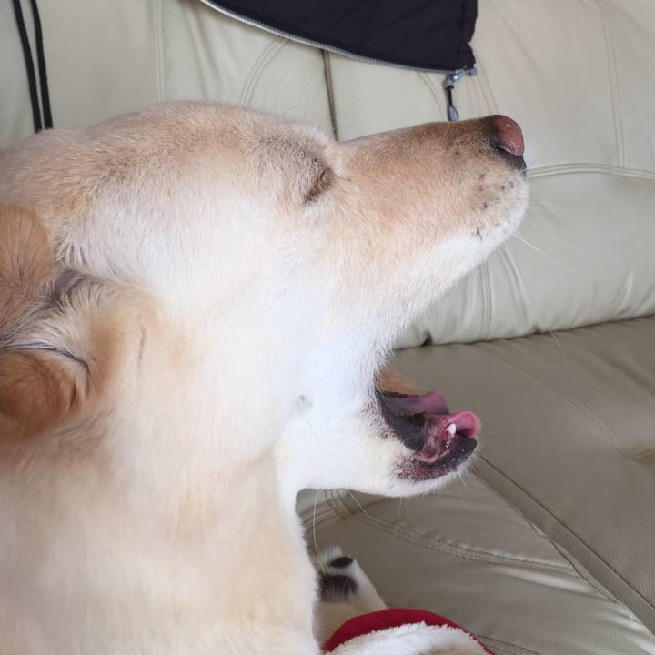 Bd5fc171 dad6 4994 924e 4daa0fb78ecd