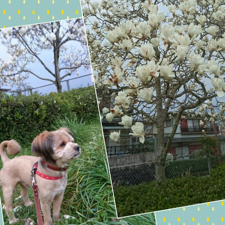 Bd5feb05 c0a1 4143 ac58 aa0544a0deb9