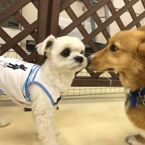 Bd5fed8a 8980 438b 8204 51ada3ab2306