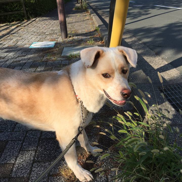 Bd6030cd 77f1 40b4 92f3 e043042fd72d