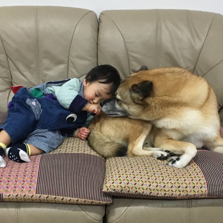 Bd615717 35a8 47ac b0e4 e4dbeea22209