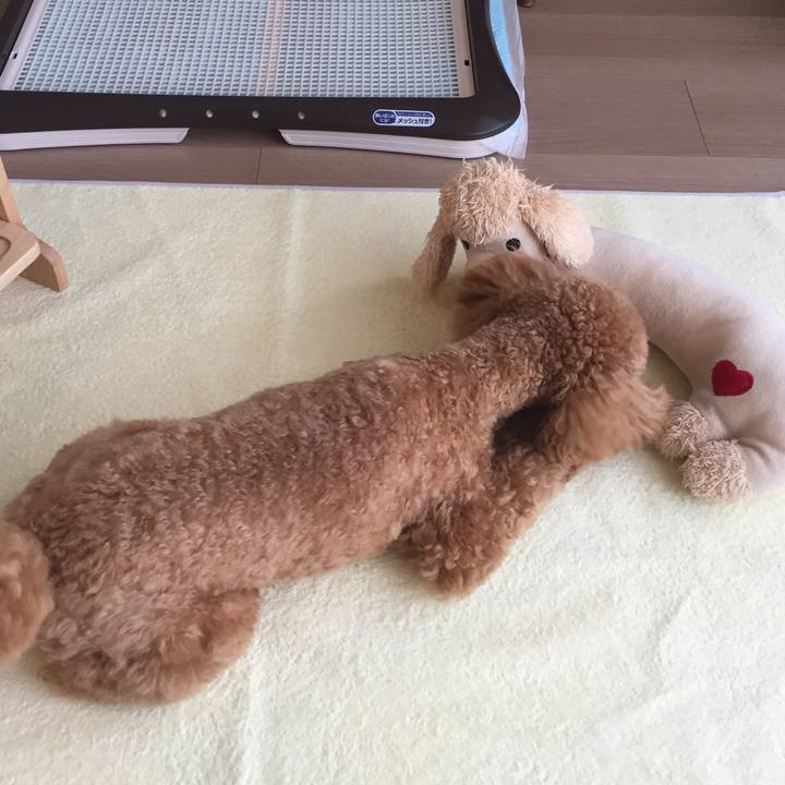 Bd624d97 55bf 493f a9e8 1f7469e4cba2