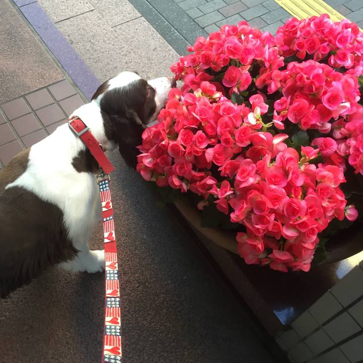 Bd627c5a 46bb 48c7 91a5 1e4c14275ceb