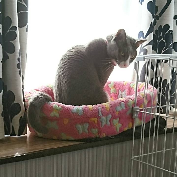 Bd6344e1 0983 42be 997e 9a6f99e87720