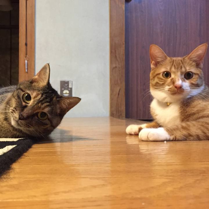 Bd63674d 0ad4 43a3 ae0f 550692b9bc0a