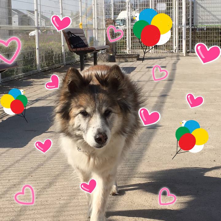 Bd63ebcc d0b5 40b4 a33d 2739af3e59ec