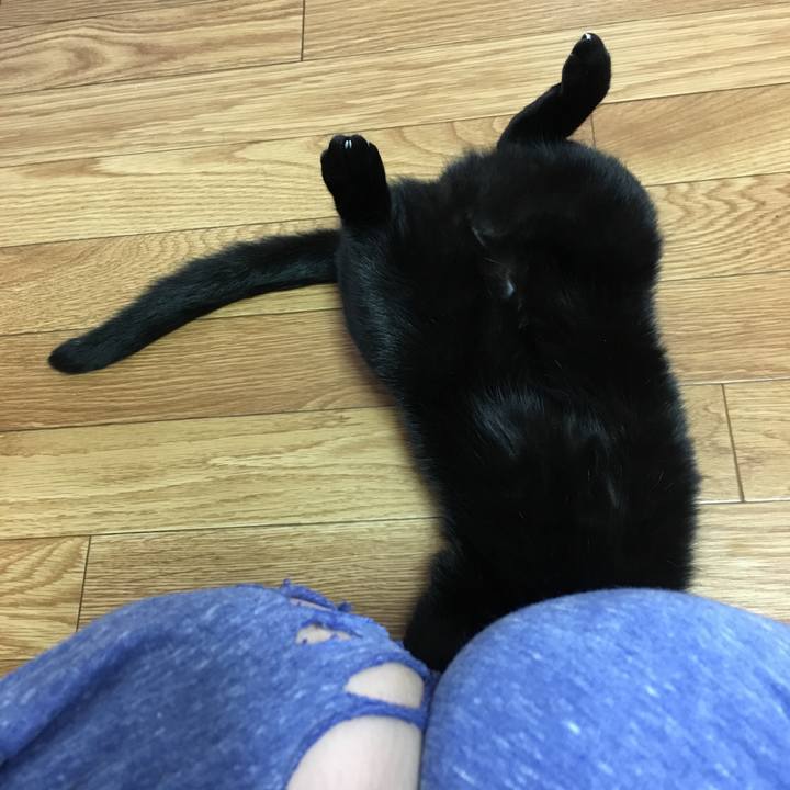 Bd6492b3 c18e 41cd 8c80 8834f50f38d1