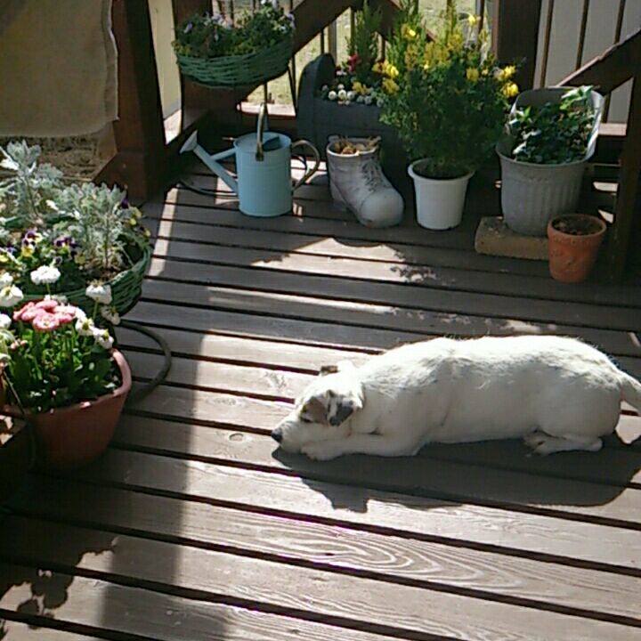 Bd64bd39 c394 4072 b839 174ac1944fea