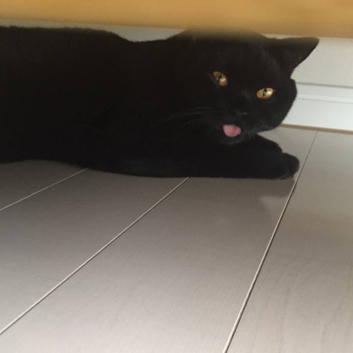 Bd64f148 9d06 4495 8fce 1abad47c5708