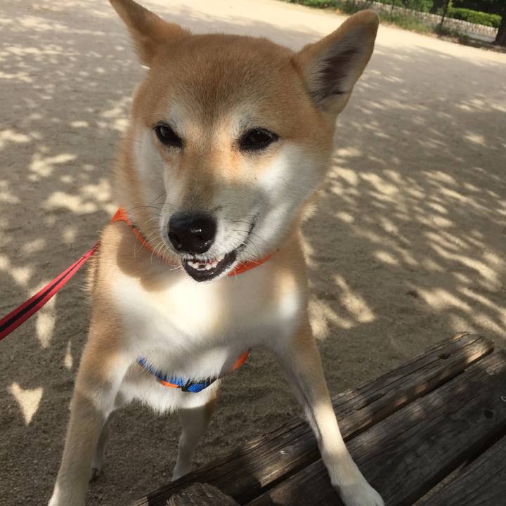 Bd6579b6 f9b1 404b 817a e55976a3bf48