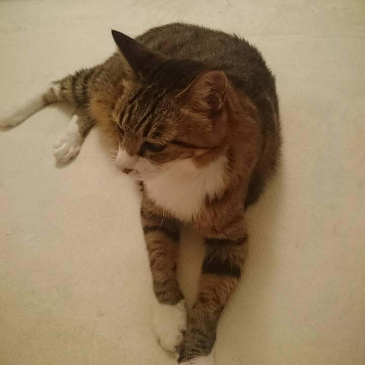 Bd662e11 cbba 4d7b b248 9c9bd017ba66