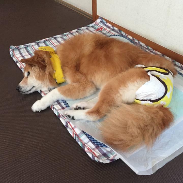 Bd664099 cb0e 4ffa 9ef8 5eede27383ea