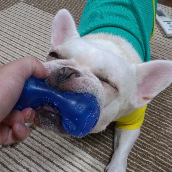 Bd667c31 5f63 4588 a203 8fd48f9d4994