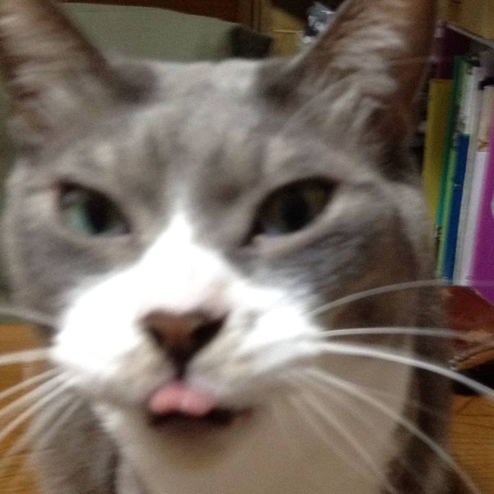 Bd66c24e 07b7 4157 8b93 f0703857a71a