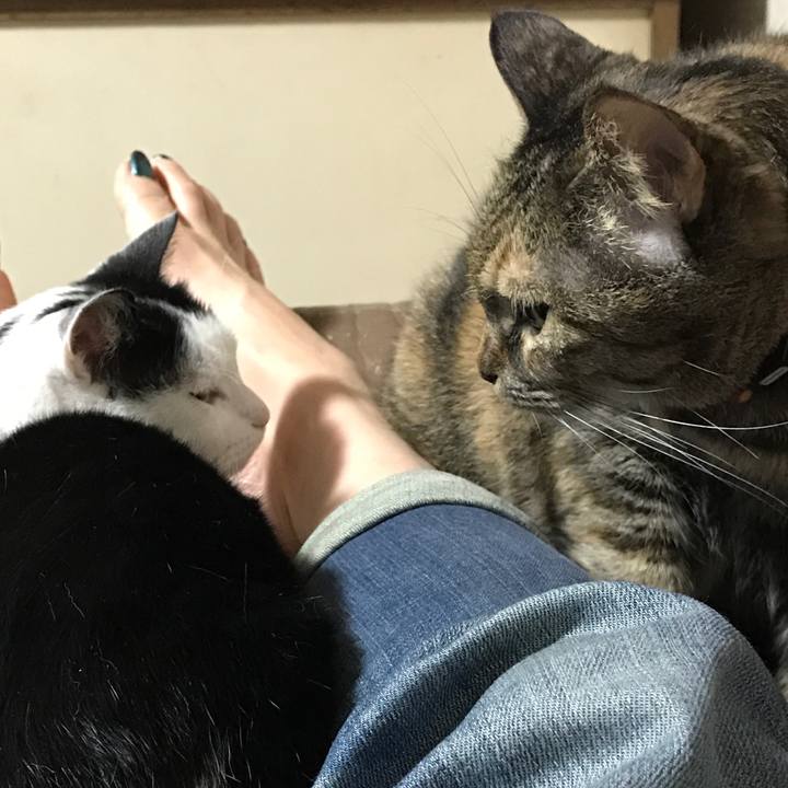 Bd671740 5315 49fd 96ff 79adb04f5317